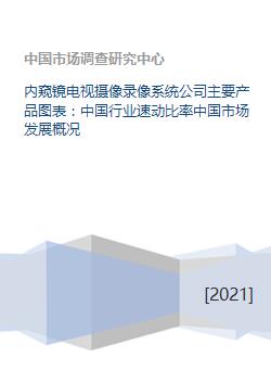 内窥镜电视摄像录像系统与软件开发 中国市场发展概况及行业速动比率分析