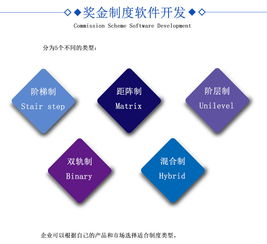 直销软件开发 打造高效便捷的营销体系