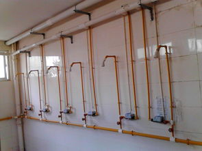 邻水县石永镇初级中学软件开发 技术赋能教育新未来